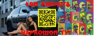 стафф Нальчик