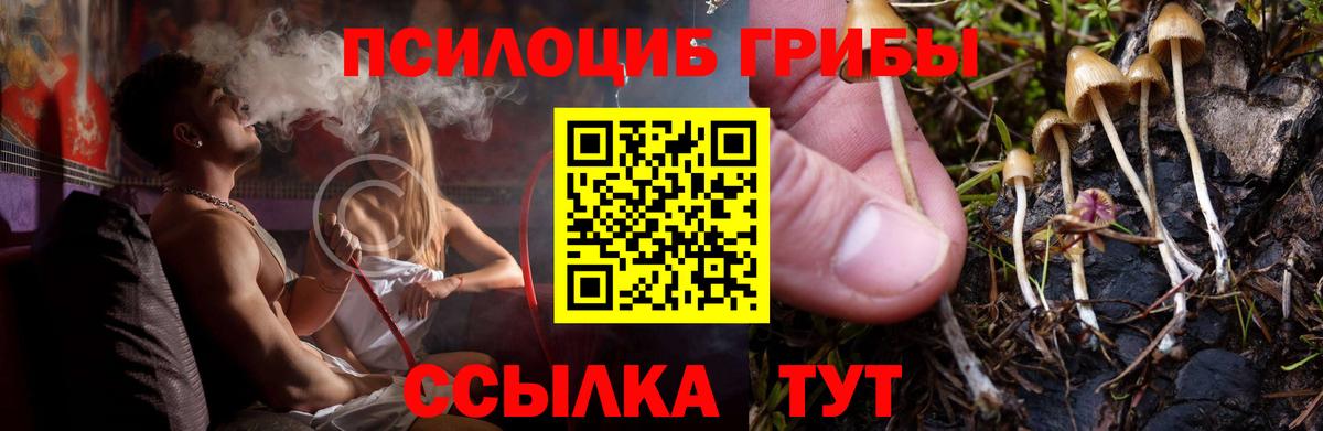 Псилоцибиновые грибы мухоморы  Вход с VPN  Таганрог  Галлюциногенные грибы MAGIC MUSHROOMS 