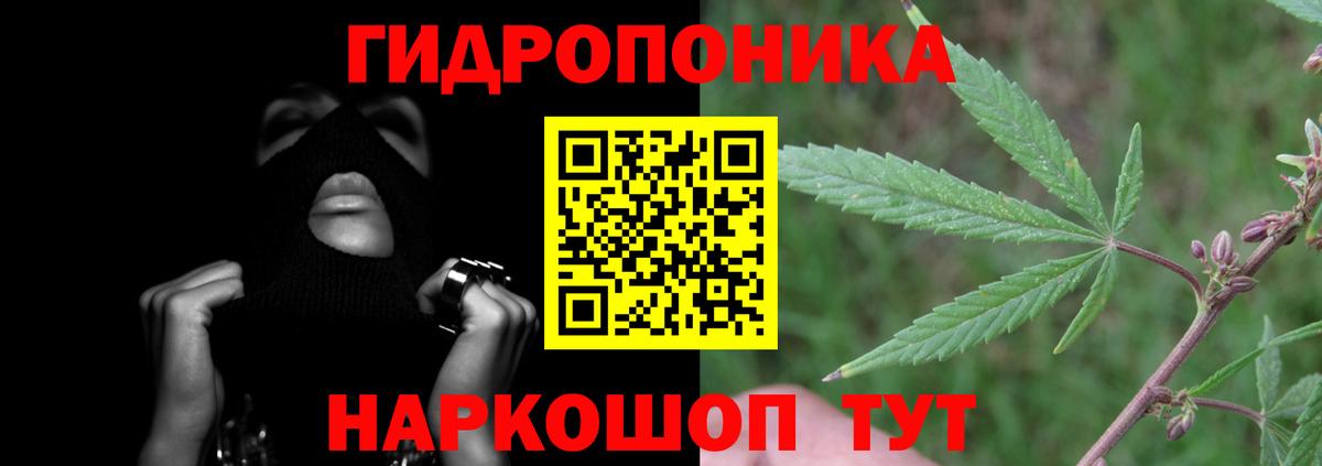 Бошки Шишки тримм Таганрог